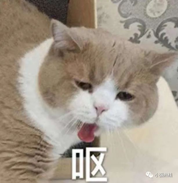 DƬ